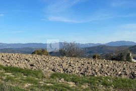 Vižinada građevinski teren 635m 2, Vižinada, Arazi