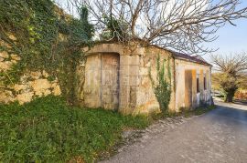 Grižane - kamena kuća za renovaciju, Vinodolska Općina, Casa