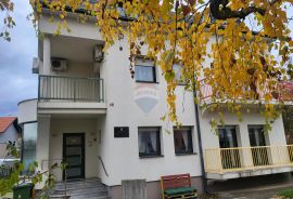 Velika Gorica - centar, kuća na prodaju 350 m2, Velika Gorica, Haus