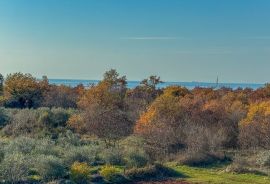 Prostran stan s pogledom na more, Poreč 4.5km, Poreč, Stan