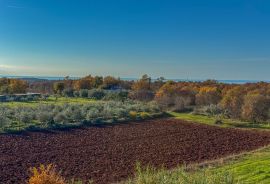 Prostran stan s pogledom na more, Poreč 4.5km, Poreč, Stan