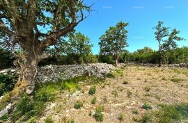 Građevinsko zemljište Na prodaju je atraktivno građevinsko zemljište s predivnim pogledom na more, smješteno na idealnoj lokaciji u Sv. Lovreču Labinskom., Labin, Arazi