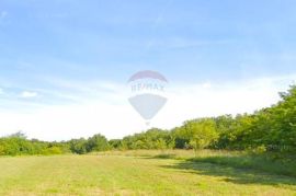 Istra,Bale -6km,Krmed,savršeno građevinsko zemljište, Bale, Zemljište