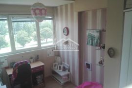 Novi Beograd - Blok 23 - 2.5 ID#23817, Novi Beograd, Stan