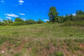 Građevinsko zemljište Prodaja građevinskog zemljišta s otvorenim panoramskim pogledom, Oprtalj!, Oprtalj, Zemljište