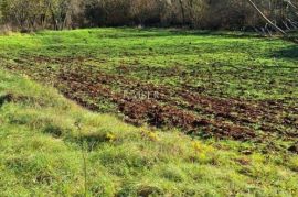 Istra- Višnjan, poljoprivredno zemljište 4 hektara, Višnjan, Zemljište