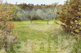 EKSKLUZIVNO GRAĐEVINSKO ZEMLJIŠTE NA MIRNOJ LOKACIJI, Marčana, Tierra