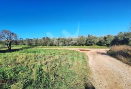 GRAĐEVINSKO ZEMLJIŠTE SA GRAĐEVINSKOM DOZVOLOM NA ODLIČNOJ LOKACIJI, Ližnjan, Zemljište