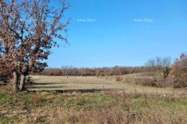 Građevinsko zemljište Prodaja građevinskog zemljišta, Marčana, Marčana, Tierra