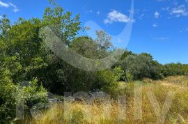 VELIKO POLJOPRIVREDNO ZEMLJIŠTE, Fažana, Terrain