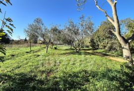 EKSKLUZIVNO JEDINSTVENO GRAĐEVINSKO ZEMLJIŠTE U FAŽANI, Fažana, Terrain