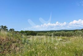 GRAĐEVINSKO ZEMLJIŠTE SA ZAPANJUJUĆIM  POGLEDOM NA BRIJUNSKO OTOČJE, Vodnjan, Terrain