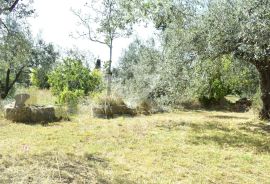 EKSKLUZIVNO GRAĐEVINSKO ZEMLJIŠTE SA POGLEDOM NA MORE I BRIJUNSKI ARHIPELAG, Fažana, Terrain