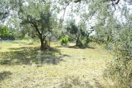 EKSKLUZIVNO GRAĐEVINSKO ZEMLJIŠTE SA POGLEDOM NA MORE I BRIJUNSKI ARHIPELAG, Fažana, Terrain