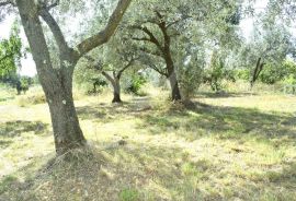 EKSKLUZIVNO GRAĐEVINSKO ZEMLJIŠTE SA POGLEDOM NA MORE I BRIJUNSKI ARHIPELAG, Fažana, Terrain