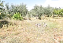 EKSKLUZIVNO GRAĐEVINSKO ZEMLJIŠTE SA POGLEDOM NA MORE I BRIJUNSKI ARHIPELAG, Fažana, Terrain