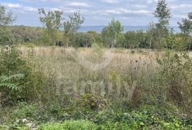 POLJOPRIVREDNO ZEMLJIŠTE U KRNICI, Marčana, Terrain