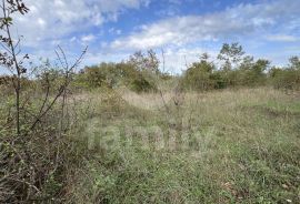 EKSKLUZIVNO PROSTRANO ZEMLJIŠTE NA MIRNOJ LOKACIJI, Marčana, Terrain