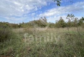 EKSKLUZIVNO PROSTRANO ZEMLJIŠTE NA MIRNOJ LOKACIJI, Marčana, Terrain