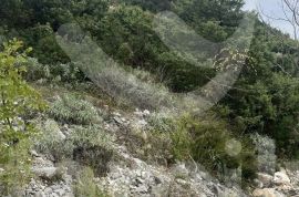 PROSTRANO POLJOPRIVREDNO ZEMLJIŠTE UZ OBALU, Marčana, Terrain