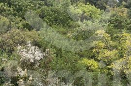 PROSTRANO POLJOPRIVREDNO ZEMLJIŠTE UZ OBALU, Marčana, Terrain