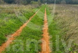 PROSTRANO ZEMLJIŠTE U BLIZINI URBANIZIRANOG, Svetvinčenat, Terrain