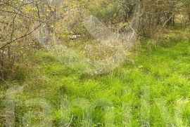 POLJOPRIVREDNO ZEMLJIŠTE BLIZU CENTRA VODNJANA, Vodnjan, Terrain