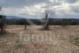 PROSTRANO GRAĐEVINSKO ZEMLJIŠTE NA MIRNOJ LOKACIJI, Marčana, Terrain