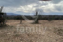 GRAĐEVINSKA PARCELA SA POGLEDOM NA MORE, Marčana, Terrain