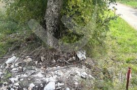 GRAĐEVINSKA PARCELA SA POGLEDOM NA MORE, Marčana, Terrain