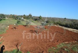 ATRAKTIVNO POLJOPRIVREDNO ZEMLJIŠTE NA ODLIČNOJ LOKACIJI, Fažana, Terrain