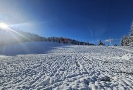 Gorski kotar, Ravna Gora, dvojna kuća 114 m2 i sanjkalište 6000 m2, Ravna Gora, Kuća