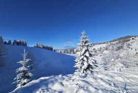 Gorski kotar, Ravna Gora, dvojna kuća 114 m2 i sanjkalište 6000 m2, Ravna Gora, Kuća