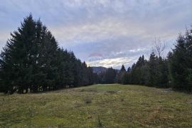 Investicijsko zemljište, Sunger, Gorski kotar, 9500 m2, Mrkopalj, Zemljište