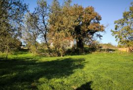 Istra, Marčana, građevinsko zemljište površine 700m2, Marčana, Land