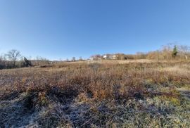 Trviž, građevinsko zemljište turstičke namjene,zona T2, 5600m2, Pazin - Okolica, Land