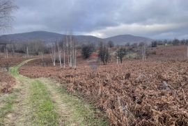 Brinje, Vodoteč - poljoprivredno zemljište, Brinje, Land