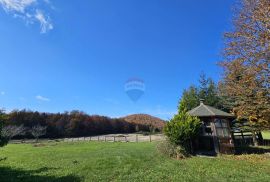 Stari Laz, Gorski kotar - kuća, 130 m2, Ravna Gora, Kuća