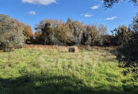 PROSTRANO POLJOPRIVREDNO ZEMLJIŠTE 300 m DO MORA, Vodnjan, Γη