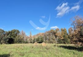 PROSTRANO POLJOPRIVREDNO ZEMLJIŠTE 300 m DO MORA, Vodnjan, Γη