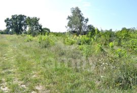 EKSKLUZIVNO ZEMLJIŠTE NA RUBU URBANIZACIJE NEDALEKO OD CENTRA, Vodnjan, Γη