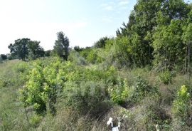 EKSKLUZIVNO ZEMLJIŠTE NA RUBU URBANIZACIJE NEDALEKO OD CENTRA, Vodnjan, Γη