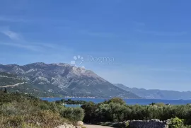 Fantastična prilika za vlastiti vinograd ili voćnjak, Korčula, Zemljište