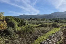 Fantastična prilika za vlastiti vinograd ili voćnjak, Korčula, Zemljište