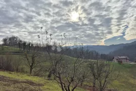 Vikend kuća sa prostranim zemljištem i garažom, Donja Stubica, Kuća