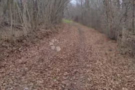 Samo u Dogmi - Rustikalna novija kuća, Gvozd, Ev