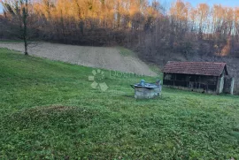 Kuća sa uporabnom dozvolom na 10.289m² zemljišta!, Desinić, Kuća