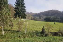 Rijetko očuvana kurija iz 19. stoljeća, Krašić, Kuća