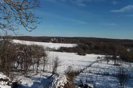 Savršena kuća za odmor u srcu prirode, Grubišno Polje, Kuća