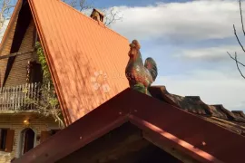 Savršena kuća za odmor u srcu prirode, Grubišno Polje, Kuća